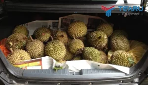 Mẹo Khử Mùi Sầu Riêng Trong Khoang Nội Thất Ô Tô Hiệu Quả