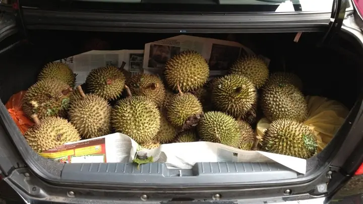 Khử Mùi Sầu Riêng Trên Xe Ô Tô