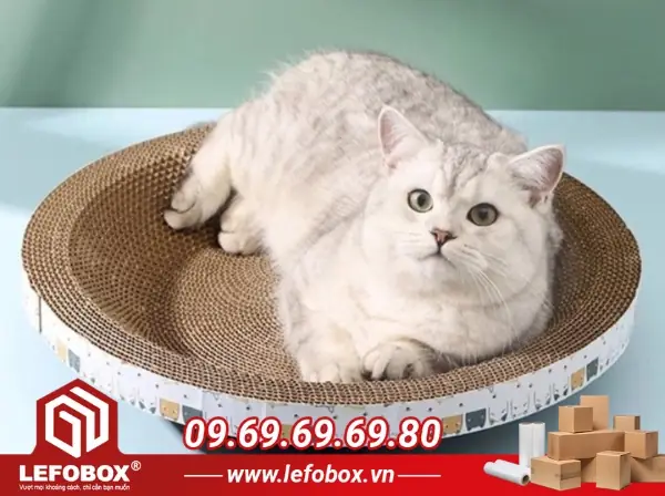 Làm Bàn Cào Móng Cho Mèo Từ Bìa Carton