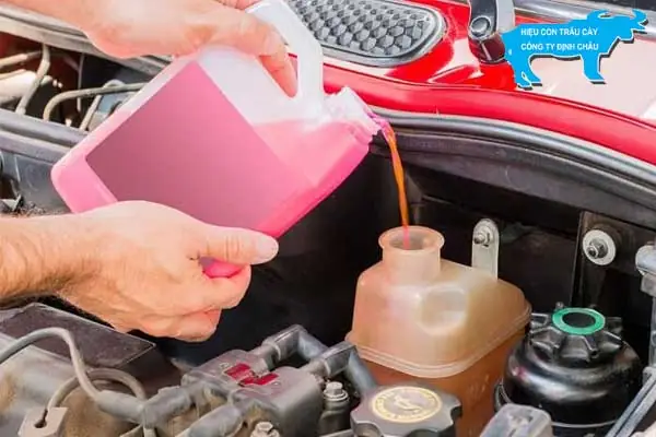 Hướng Dẫn Cách Pha Nước Làm Mát Xe Ô Tô Đơn Giản Tại Nhà