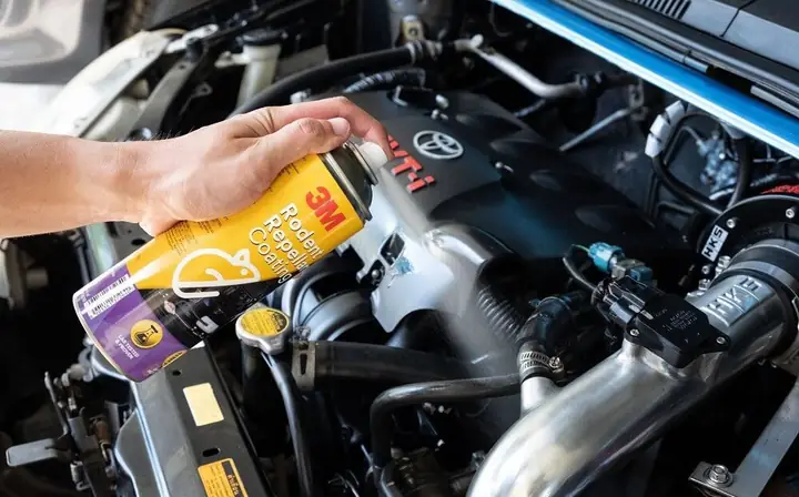 Sử Dụng Bình Xịt Đuổi Chuột Xe Ô Tô Có Ảnh Hưởng Đến Người Dùng Và Vật Nuôi Không?