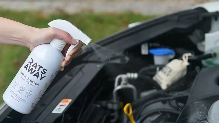 Bình Xịt Đuổi Chuột Ô Tô Là Gì?