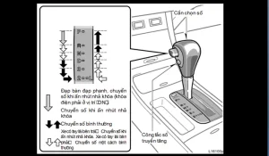 Cách Tăng Số Xe Ô Tô: Hướng Dẫn Chi Tiết Từ A Đến Z