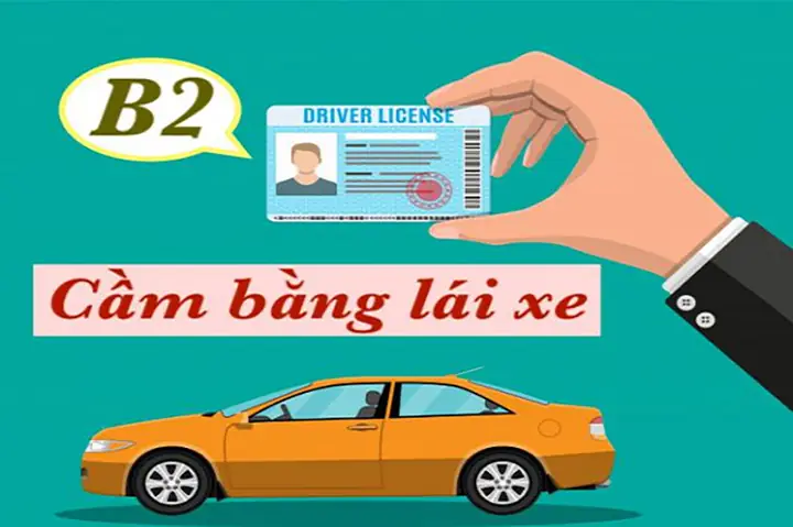 Cầm Bằng Lái Xe Ô Tô Là Gì?