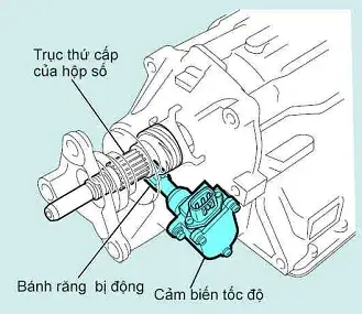 Cảm Biến Tốc Độ Trên Xe Ô Tô