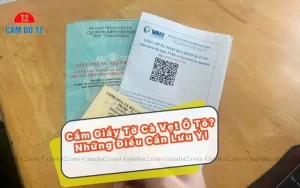 Cầm Giấy Tờ Xe Ô Tô Tphcm: Hướng Dẫn Thủ Tục, Rủi Ro & Kinh Nghiệm Cần Biết