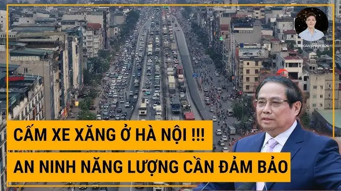 Gia Đình Nên Mua Xe 5 Chỗ Hay 7 Chỗ? Phân Tích Chuyên Sâu Từ A Đến Z