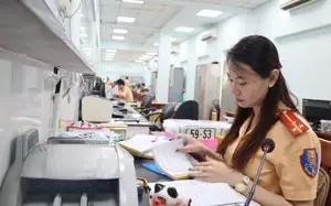 Quy Định Thời Hạn Cấp Lần Đầu, Cấp Lại Biển Số Định Danh