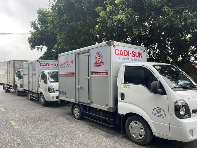 Đề Can Dán Đuôi Xe