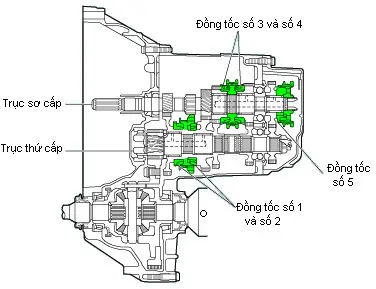 Chi Tiết Về Cơ Cấu Gài Số Và Đồng Tốc