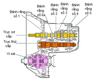 Giải Mã Các Thành Phần Cơ Bản Trong Hộp Số Ngang