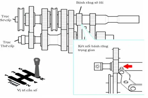Nguyên Lý Hoạt Động Qua Các Cấp Số