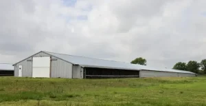 Chăn Gà Bằng Xe Ô Tô: Hướng Dẫn Chi Tiết An Toàn Và Hiệu Quả