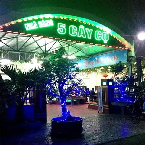 Nhà Hàng Cây Cọ, Quảng La, Thành Phố Hạ Long, Quảng Ninh: Trải Nghiệm Ẩm Thực Độc Đáo