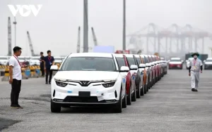 Chạy Xe Ô Tô Trên Nước Mỹ: Toàn Cảnh Hướng Dẫn Cho Người Việt