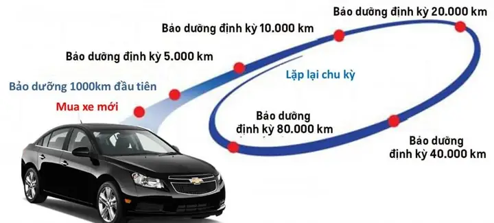 Bao Lâu Cần Phải Thay Nhớt Định Kỳ Cho Xe Ô Tô?