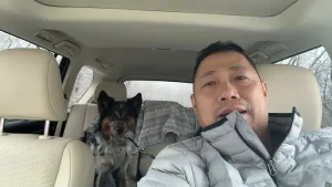 Chó Đi Xe Ô Tô: Cẩm Năng Cùng Thú Cưng An Toàn Trên Mọi Nẻo Đường