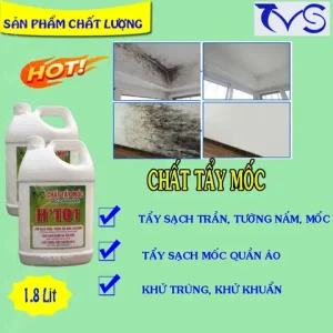 Hành Trình Khám Phá Đồng Tháp Cùng Hanoidep.vn