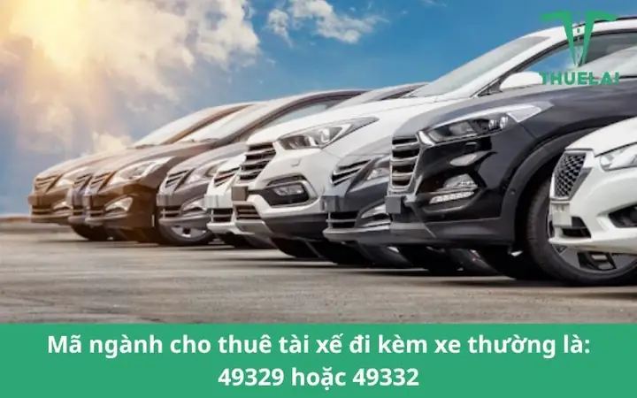 Khái Niệm Mã Ngành Cho Thuê Tài Xế