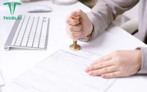 Quy Trình Đăng Ký Mã Ngành Cho Thuê Tài Xế