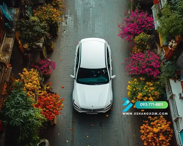 Chuỗi Bài:thuê Xe Tự Lái Tết