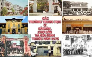 Chợ Tốt Xe Ô Tô Vios Cũ: Kinh Nghiệm Mua Bán An Toàn, Giá Tốt Nhất