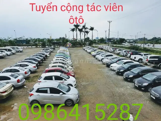 Thông Tin Cơ Bản Về Chợ Ô Tô Số 1 Hà Nội