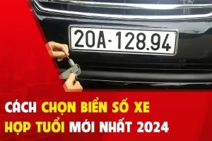 Hướng Dẫn Chọn Biển Số Xe Ô Tô Hợp Phong Thủy: Bí Quyết Mang Lại Bình An Và Tài Lộc