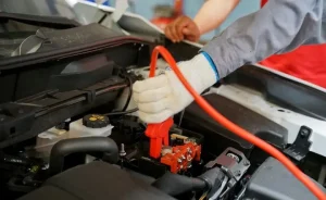 Xác Định Vị Trí Chuột Chui Vào Xe Ô Tô