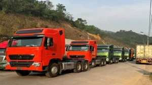 Hướng Dẫn Chi Tiết Thủ Tục Nhập Khẩu Lốp Xe Ô Tô Và Xe Máy Chuyên Dụng