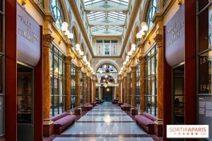 Bài Toán Đố Về 15 Xe Ô Tô Gồm 3 Loại: Cách Giải Chi Tiết Và Rút Ra Bài Học