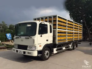 Có Loại Xe Ô Tô 12 Tấn Không? Phân Loại Và Tư Vấn Chọn Xe Tải