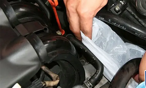 Bước 3: Bọc Túi Bóng