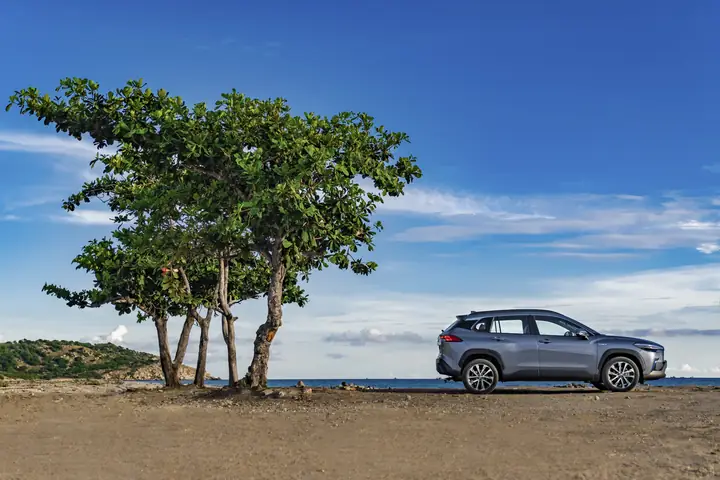 Công Dụng Của Xe Ô Tô Bảo Vệ Môi Trường