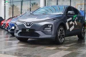 Bảng Giá Thuê Xe Có Lái Theo Ngày Và Theo Tháng