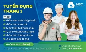 Công Ty Cổ Phần Ô Tô Xe Máy Hà Nội – Tổng Quan Toàn Diện