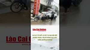 Thông Tin Cơ Bản Về Công Ty Tnhh Ô Tô Và Xe Máy Sapa