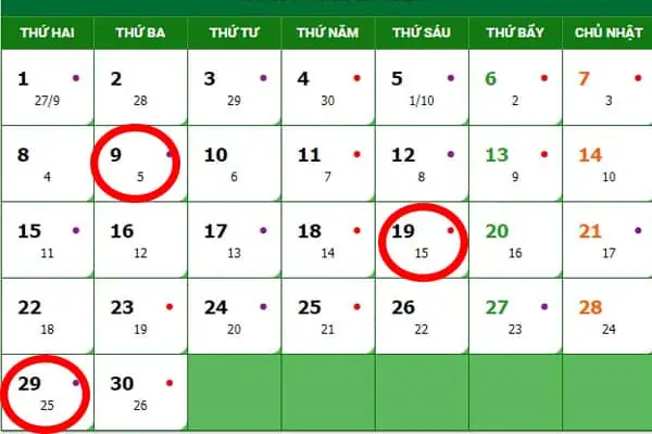 Cúng Xe Ô Tô Vào Ngày Nào Là Tốt Nhất? Hướng Dẫn Chi Tiết Từ A-z
