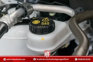 Dầu Côn Ô Tô (clutch Fluid)