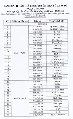 Đấu Giá Xe Ô Tô: Hướng Dẫn Toàn Tập Từ Đăng Ký Đến Chốt Giá
