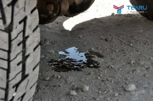 Dầu Xịt Gầm Xe Ô Tô: Hướng Dẫn Sử Dụng & Bảo Vệ Xe Toàn Diện