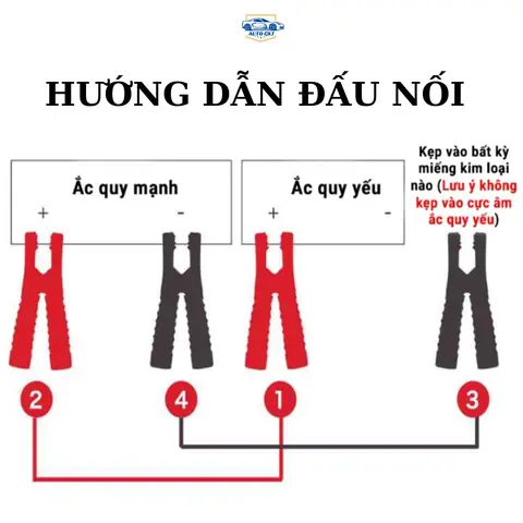 Giới Thiệu Sản Phẩm