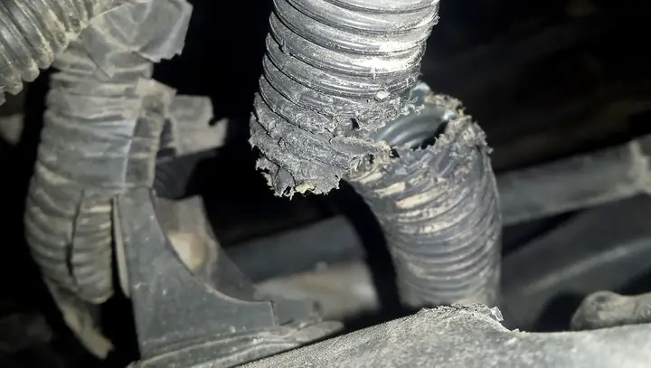 Dây Điện Xe Ô Tô