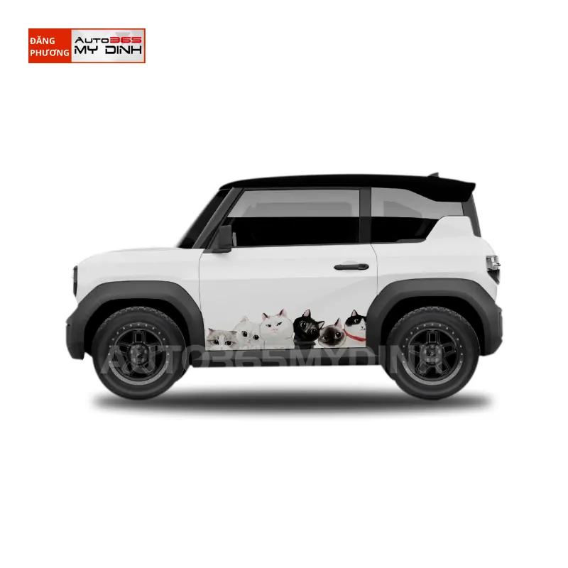 Decal Dán Xe VF3 và Phong Thủy: Chọn Màu Sắc Hợp Mệnh, Rước Tài Lộc (Mô tả: Tìm hiểu về mối liên hệ giữa màu sắc decal dán xe VF3 và phong thủy, giúp bạn chọn được màu sắc phù hợp với mệnh, tăng cường vận may và tài lộc.)