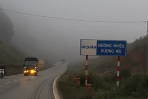 Đèn Sương Mù Ô Tô Có Tác Dụng Gì?