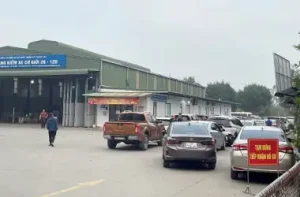 Dịch Vụ Đăng Kiểm Xe Ô Tô Tphcm Uy Tín, Chuyên Nghiệp