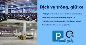Dịch Vụ Giữ Xe Ô Tô: Nhu Cầu Lớn, Cơ Hội Và Thách Thức Cho Các Nhà Cung Cấp