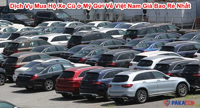 Hướng Dẫn Chi Tiết Dịch Vụ Nhập Khẩu Xe Ô Tô Cũ Từ A Đến Z