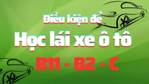 Điều Kiện Để Đề Xe Ô Tô: Những Quy Tắc Pháp Lý Và Kỹ Thuật Bạn Cần Biết