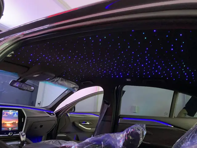 Trần Sao Ô Tô Có Mấy Loại